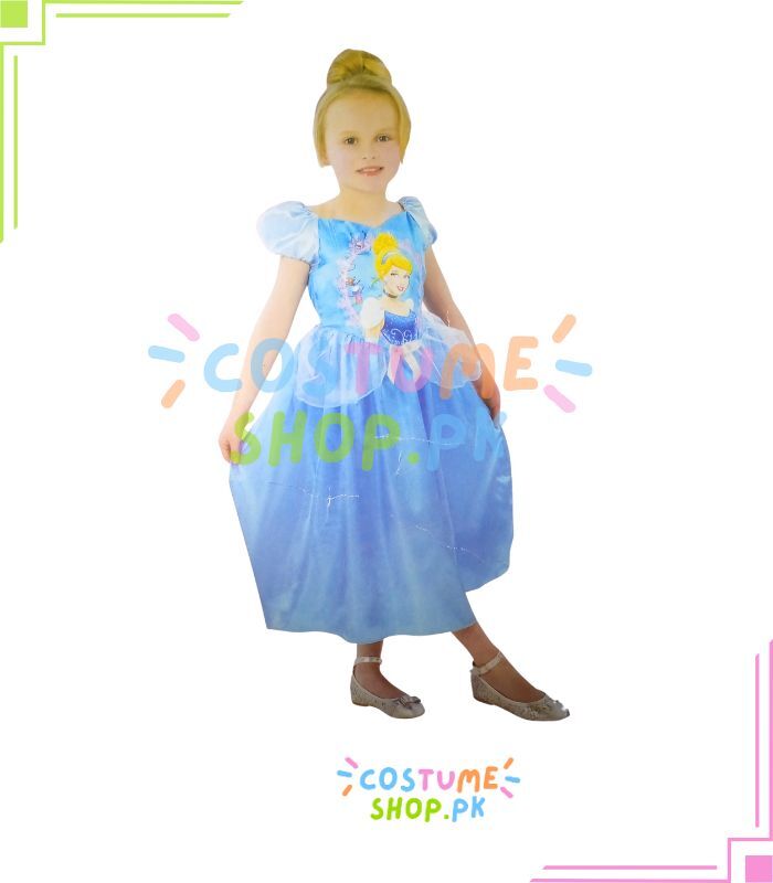 Cinderella Costume