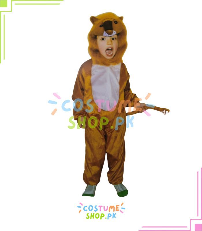 Lion Kids Costume